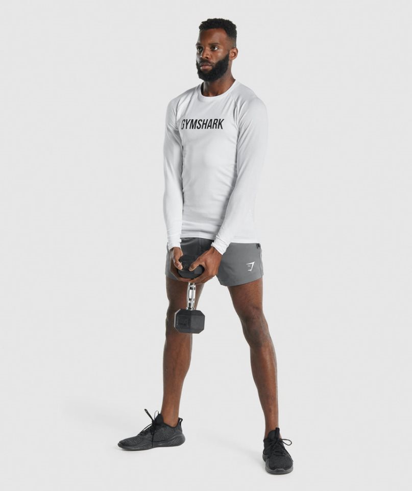 Szorty Gymshark Sportowe Męskie Szare | PL 519FNA